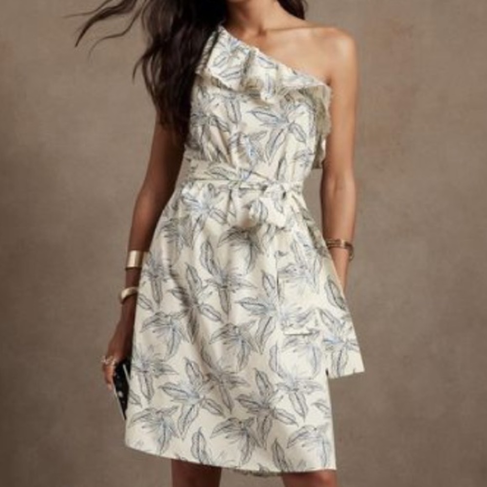 Banana Republic Ruffle Dress